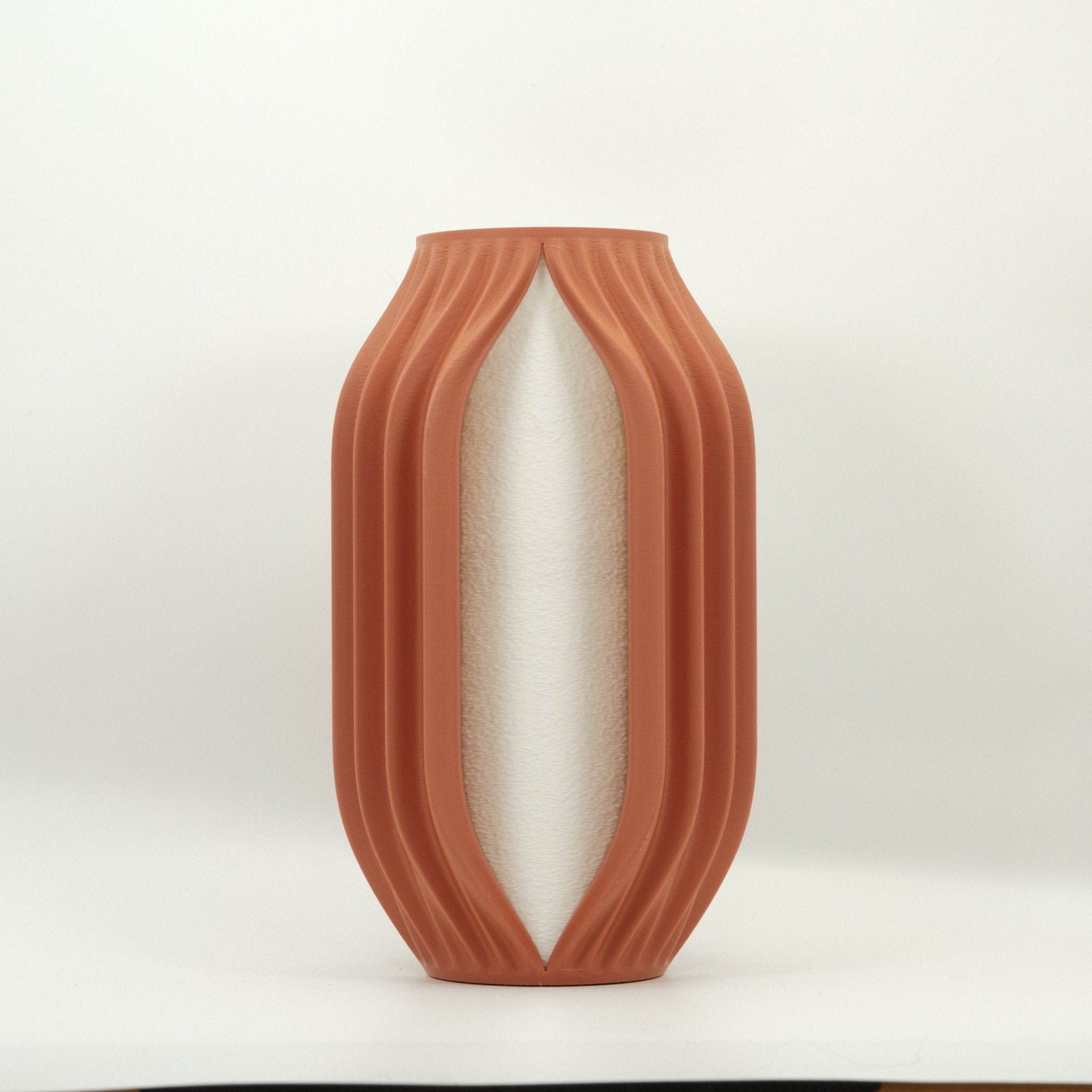 Orbit Arc Vase Kit - Zoventi